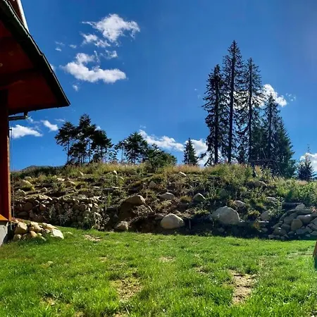 Blueberry Domek alpejski *