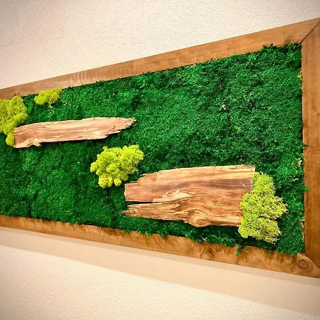 Blueberry Domek alpejski