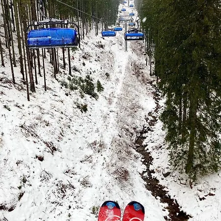 Blueberry Alpesi faház Deménvölgy