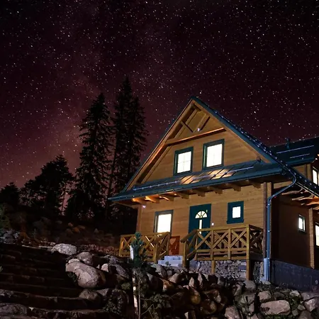 Blueberry Demanovska Dolina