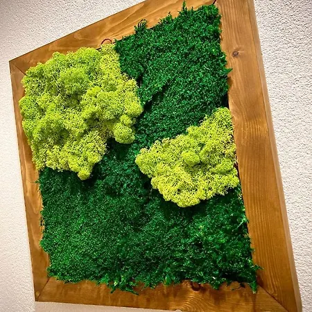 Blueberry Alpesi faház Deménvölgy