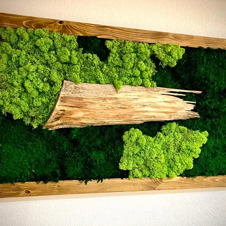 Domek alpejski Blueberry *