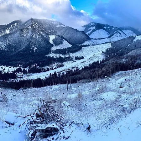 Blueberry Domek alpejski Dolina Demianowska