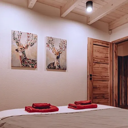 Blueberry * Demanovska Dolina