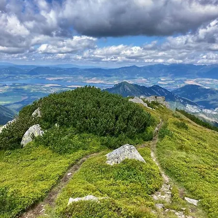 Domek alpejski Blueberry Dolina Demianowska