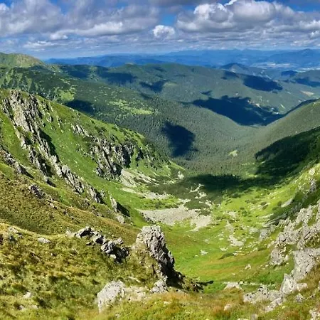 Blueberry * Dolina Demianowska