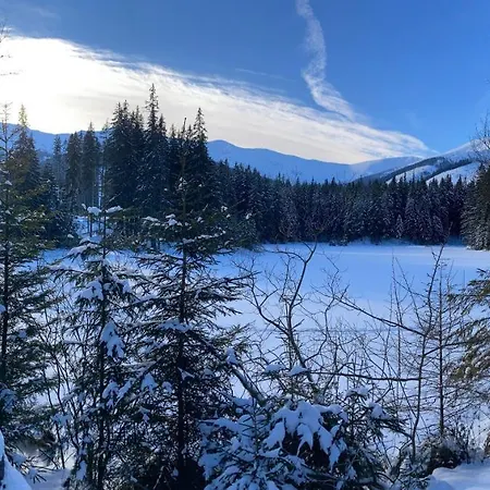 Blueberry * Deménvölgy