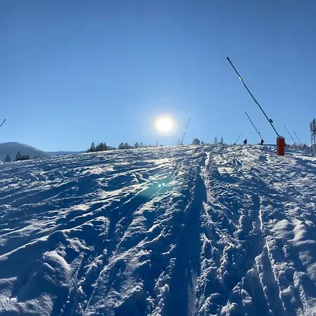 Blueberry * Deménvölgy