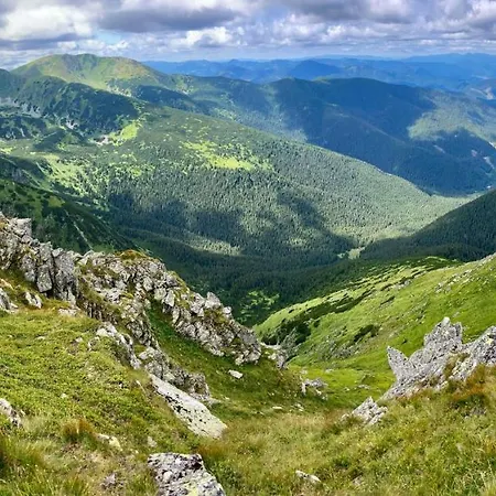 Blueberry Domek alpejski Dolina Demianowska