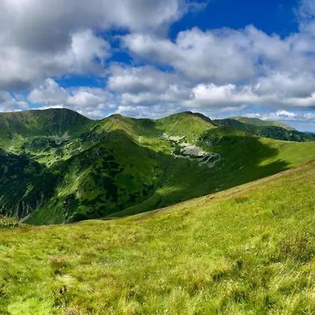 Domek alpejski Blueberry