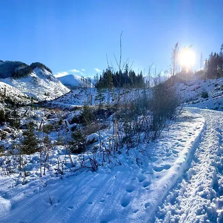 Alpesi faház Blueberry