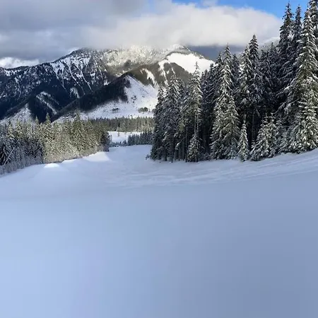 Domek alpejski Blueberry Dolina Demianowska