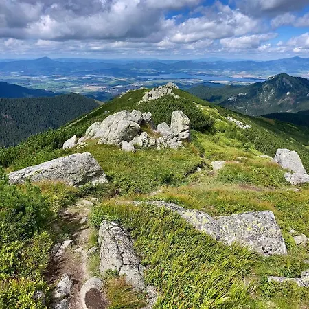 Blueberry Dolina Demianowska