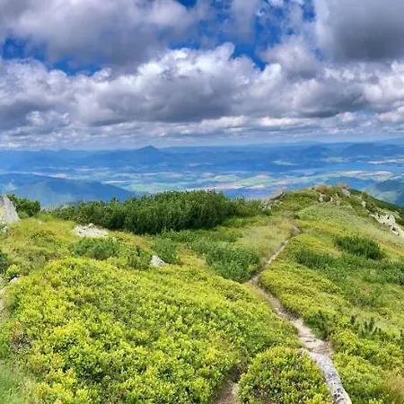 Blueberry Deménvölgy