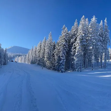 Domek alpejski Blueberry Dolina Demianowska