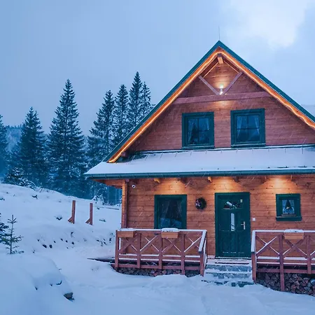 Blueberry * Dolina Demianowska