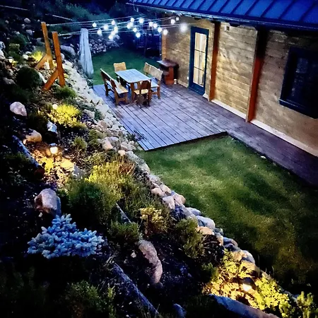 Blueberry Dolina Demianowska