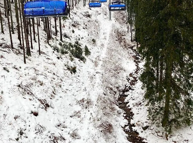 Blueberry Alpesi faház Deménvölgy
