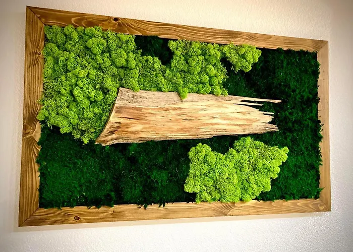 Alpesi faház Blueberry *