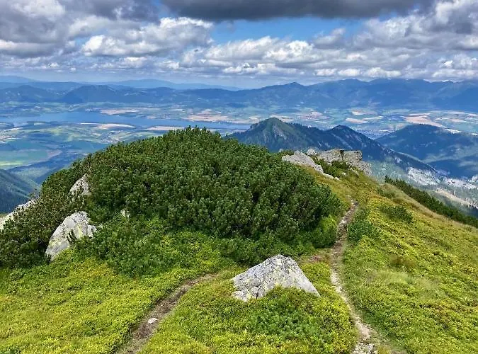Alpstuga Blueberry Demanovska Dolina