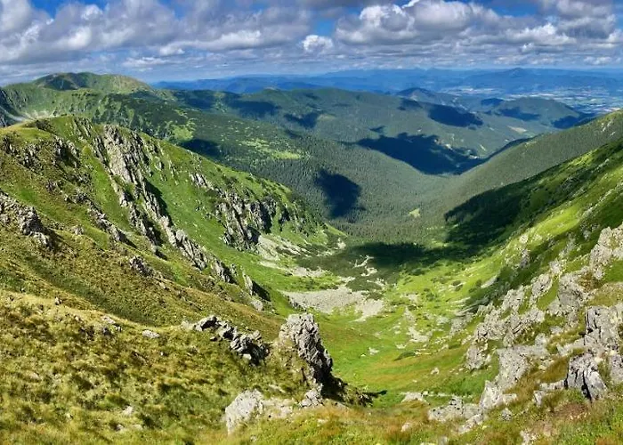 Blueberry * Deménvölgy