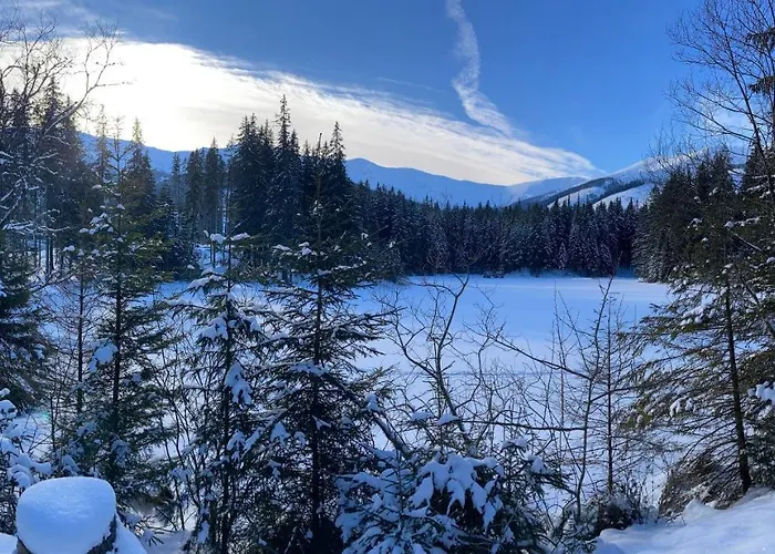 Blueberry * Deménvölgy