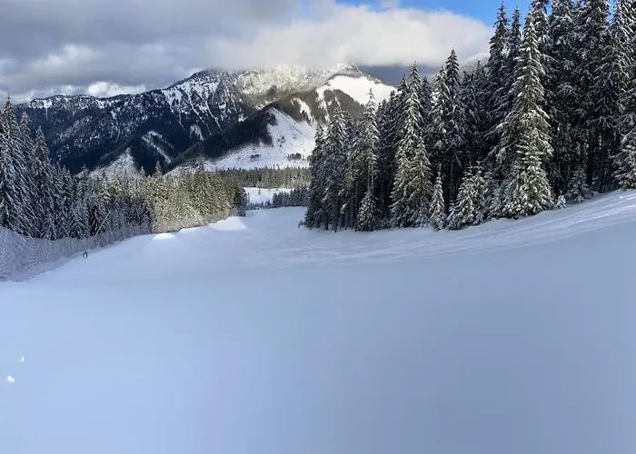 Alpesi faház Blueberry Deménvölgy