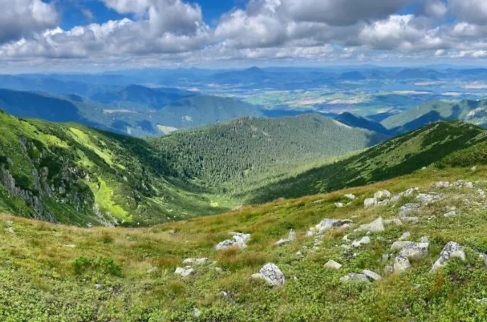 Blueberry Alpesi faház *