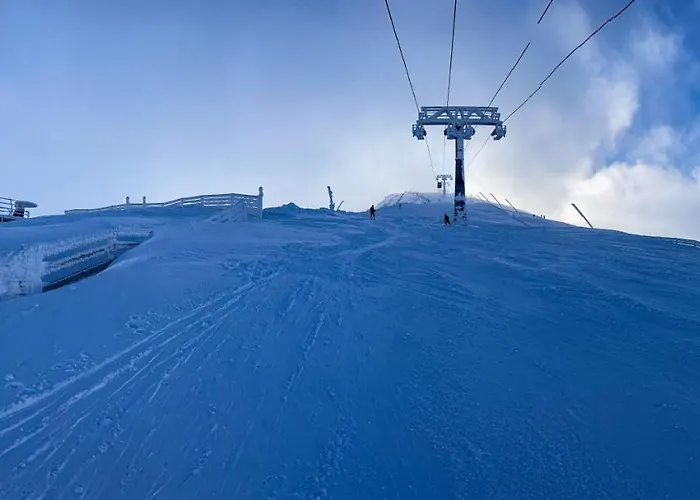 Alpesi faház Blueberry Deménvölgy