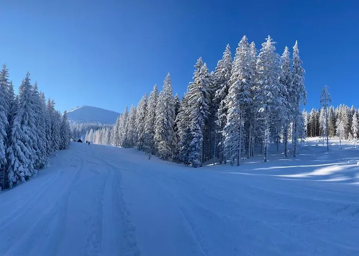 Alpesi faház Blueberry Deménvölgy